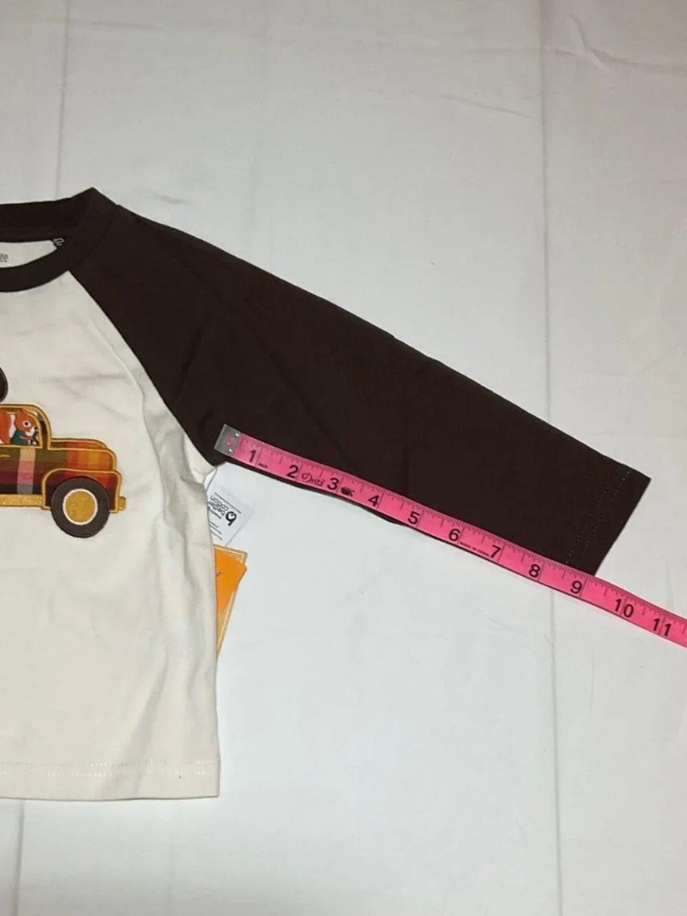 Gymboree Boys 12-18 Months Squirrel Acorn Truck Long Sleeve Raglan Top NWT
